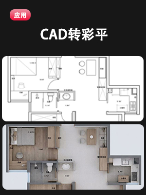 CAD转彩平1.1